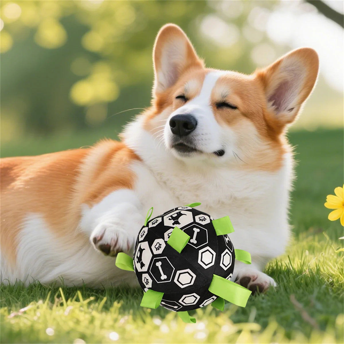 New Pet Bell Sound Toy Ball Dog Outdoor Interactive Training Play Football