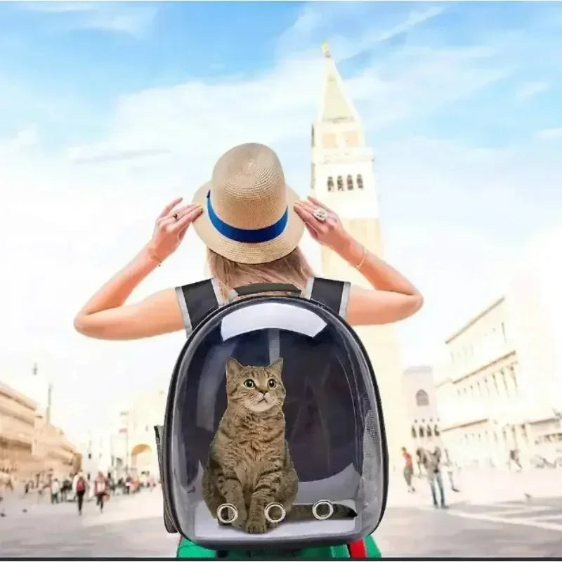 Space Capsule Transparent Cat Bag Out Breathable Backpack Pet Bag Oxford Cloth Portable Cat Bag Pet Supplies