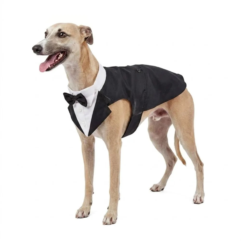 Four Seasons Dog Business Suit Vest Set Cool Funny Close-fitting Dog Tuxedo Jacket Breathable Cool Pet Clothes For Pet S To 2XL