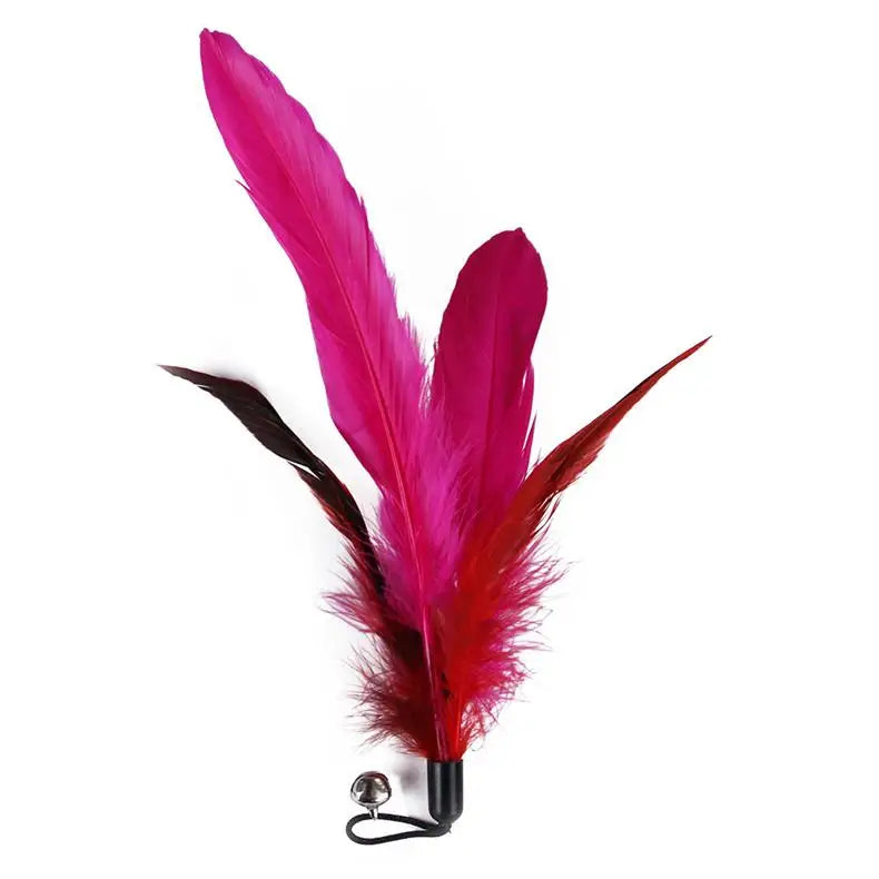 11pcs Replacement Cat Feather Toy Set Feather Replacement Head Retractable Cat Stick Cat Products