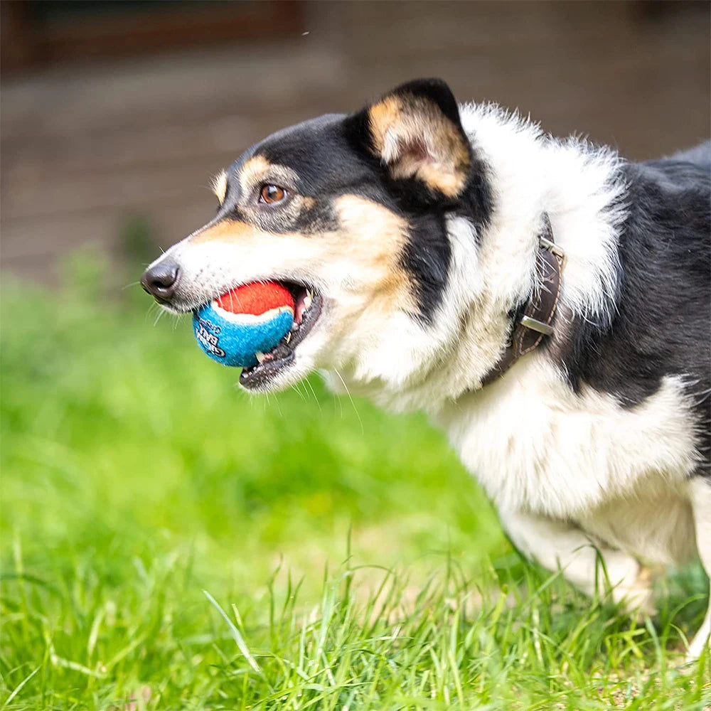 Pet Dog Squeaky Tennis Ball Interactive Dog Toys High Bounce Sound Rubber Ball  for Dogs Training Outdoor Play Ball Puppy Gift