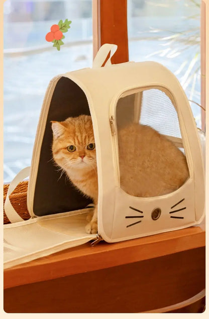 Cat Bag Outing Travel Pet Backpack Cabin Cat Schoolbag Shoulder Cage Multifunctional Bag Car Folding Soothing Anti-scratch