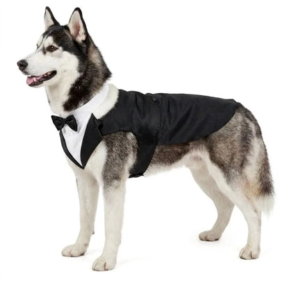Four Seasons Dog Business Suit Vest Set Cool Funny Close-fitting Dog Tuxedo Jacket Breathable Cool Pet Clothes For Pet S To 2XL