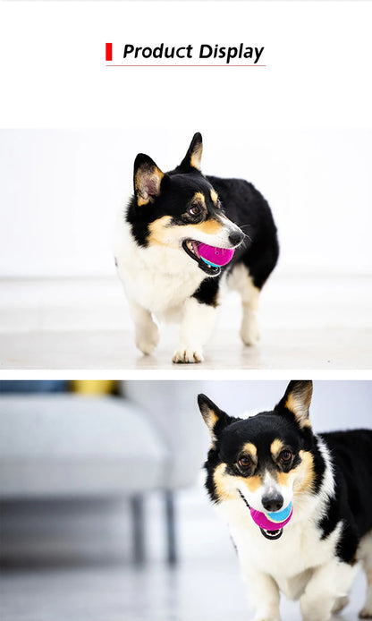 Pet Dog Squeaky Tennis Ball Interactive Dog Toys High Bounce Sound Rubber Ball  for Dogs Training Outdoor Play Ball Puppy Gift