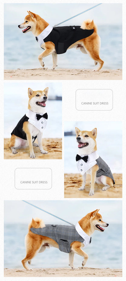 Dog Tuxedo Dog Suit and Bandana Set, Dogs Tuxedo Wedding Party Suit, Dog Prince Wedding Bow Tie Shirt Formal Dog Wedding Attire