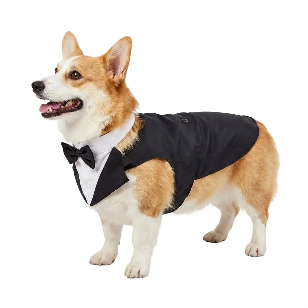 Four Seasons Dog Business Suit Vest Set Cool Funny Close-fitting Dog Tuxedo Jacket Breathable Cool Pet Clothes For Pet S To 2XL