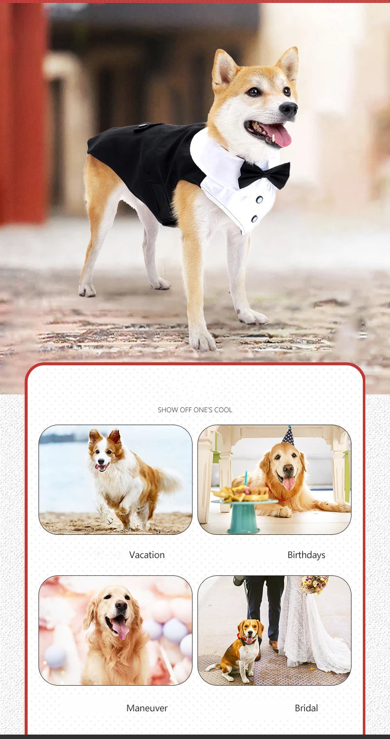 Dog Tuxedo Dog Suit and Bandana Set, Dogs Tuxedo Wedding Party Suit, Dog Prince Wedding Bow Tie Shirt Formal Dog Wedding Attire