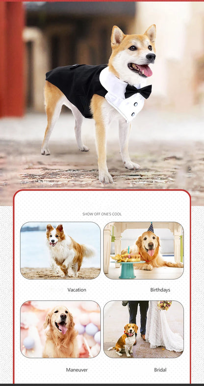 Dog Tuxedo Dog Suit and Bandana Set, Dogs Tuxedo Wedding Party Suit, Dog Prince Wedding Bow Tie Shirt Formal Dog Wedding Attire