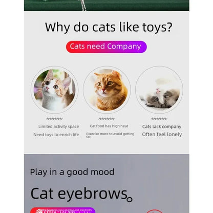 Multifunctional Upgraded USB Rechargeable Infrared Cat Toy, Laser Projection Interactive Cat Stick, Pet Toy Supplies