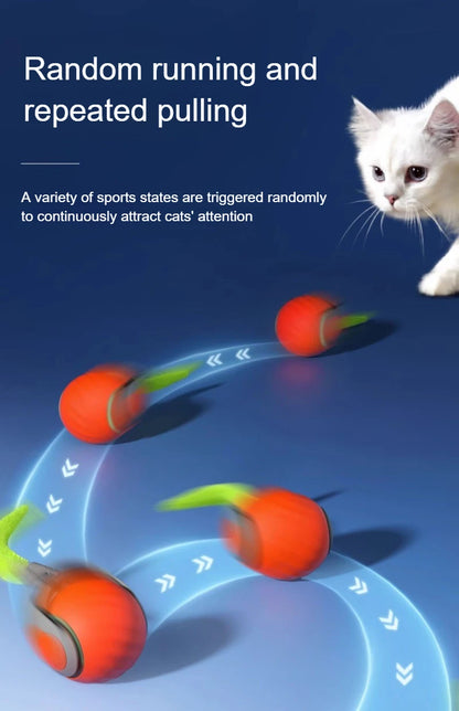 Cats Interactive Ball Toys Automatic Rolling Ball with Faux Tail USB Rechargeable SmartElectric Pet Toy for Teaser and Training